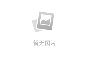 CodeWP