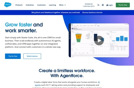 Salesforce AI