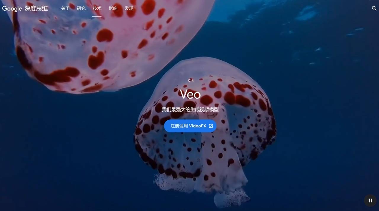 Google Veo