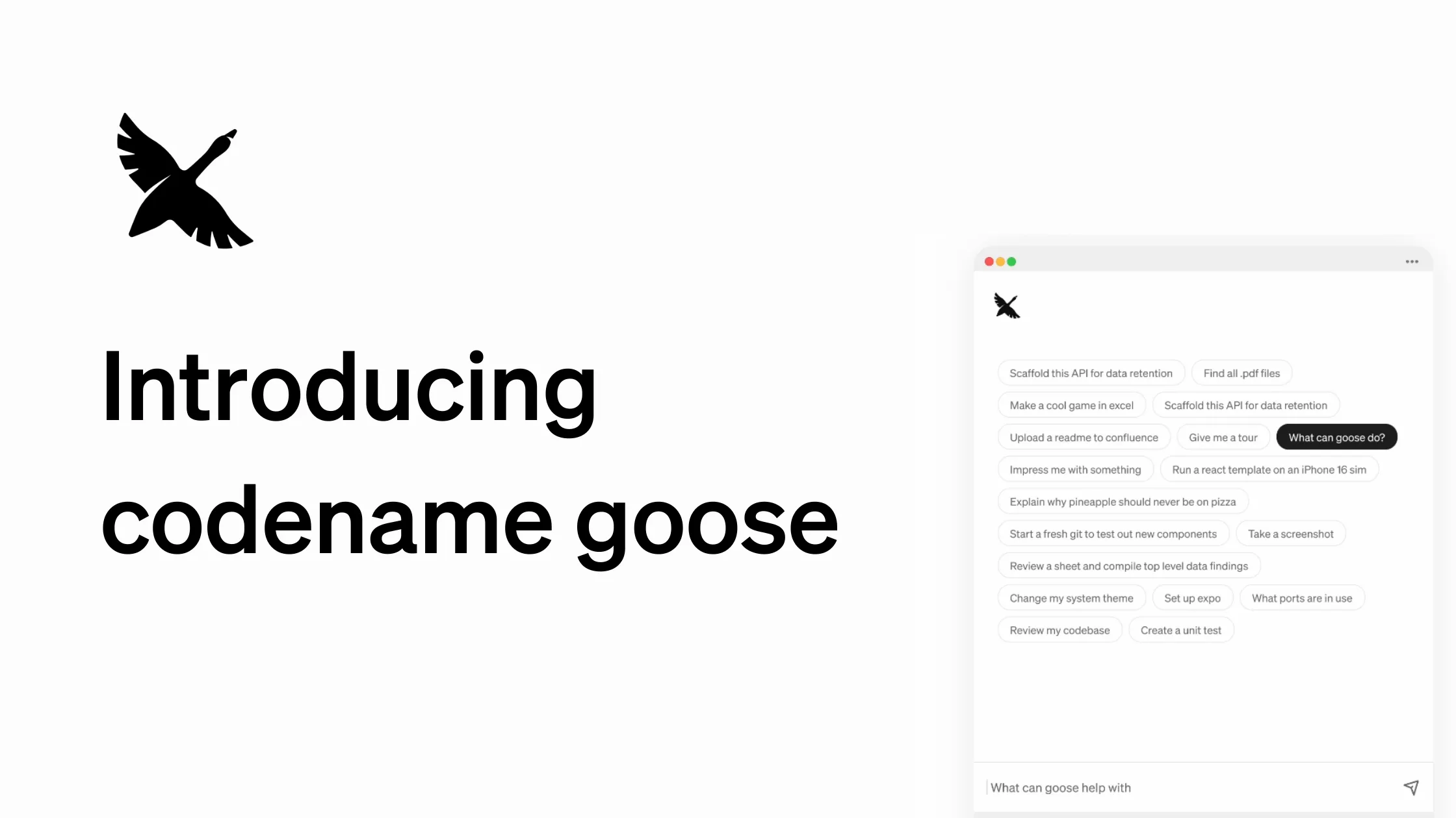 CodeName Goose