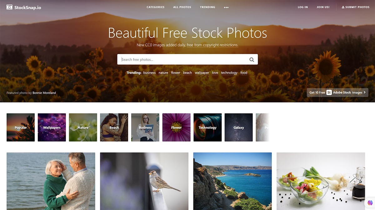StockSnap