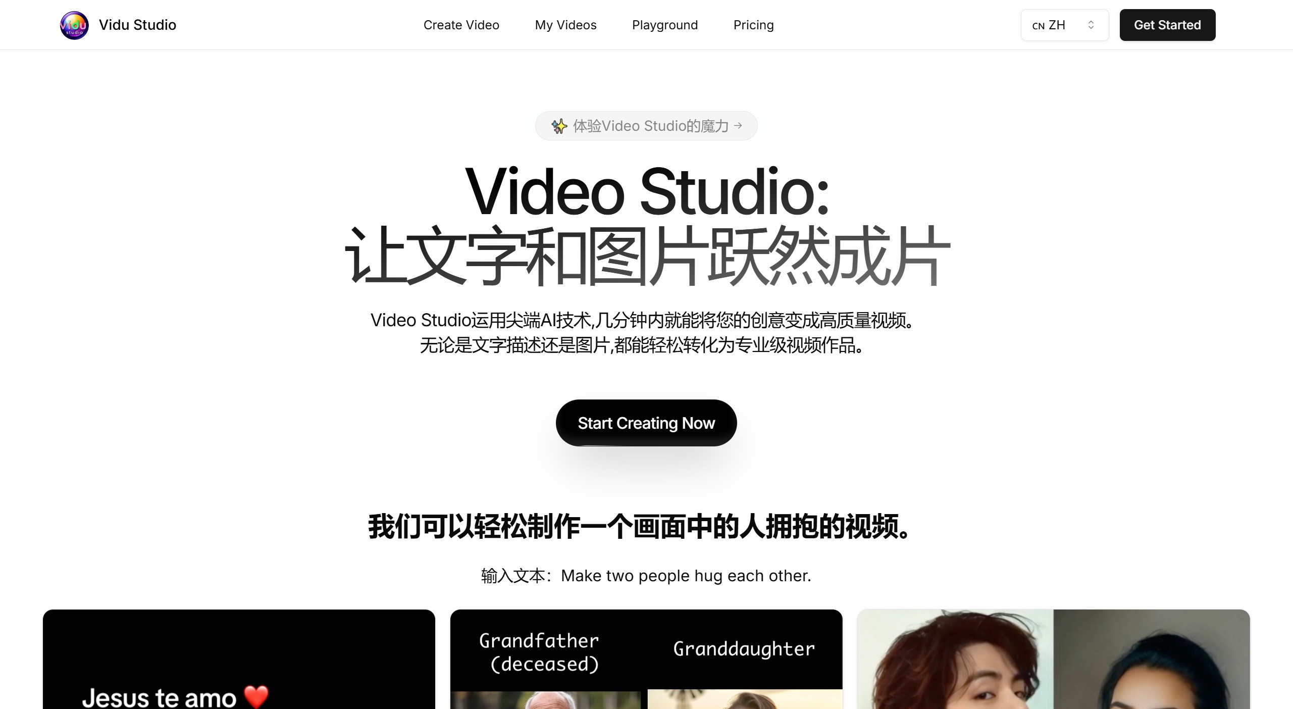 Vidu Studio