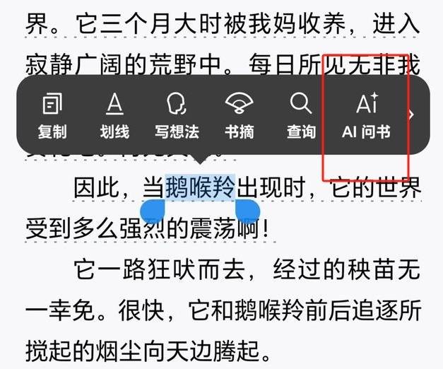 微信AI问书